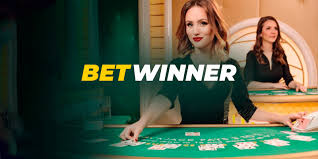 Discovering the Reliable BetWinner for Your Betting Needs