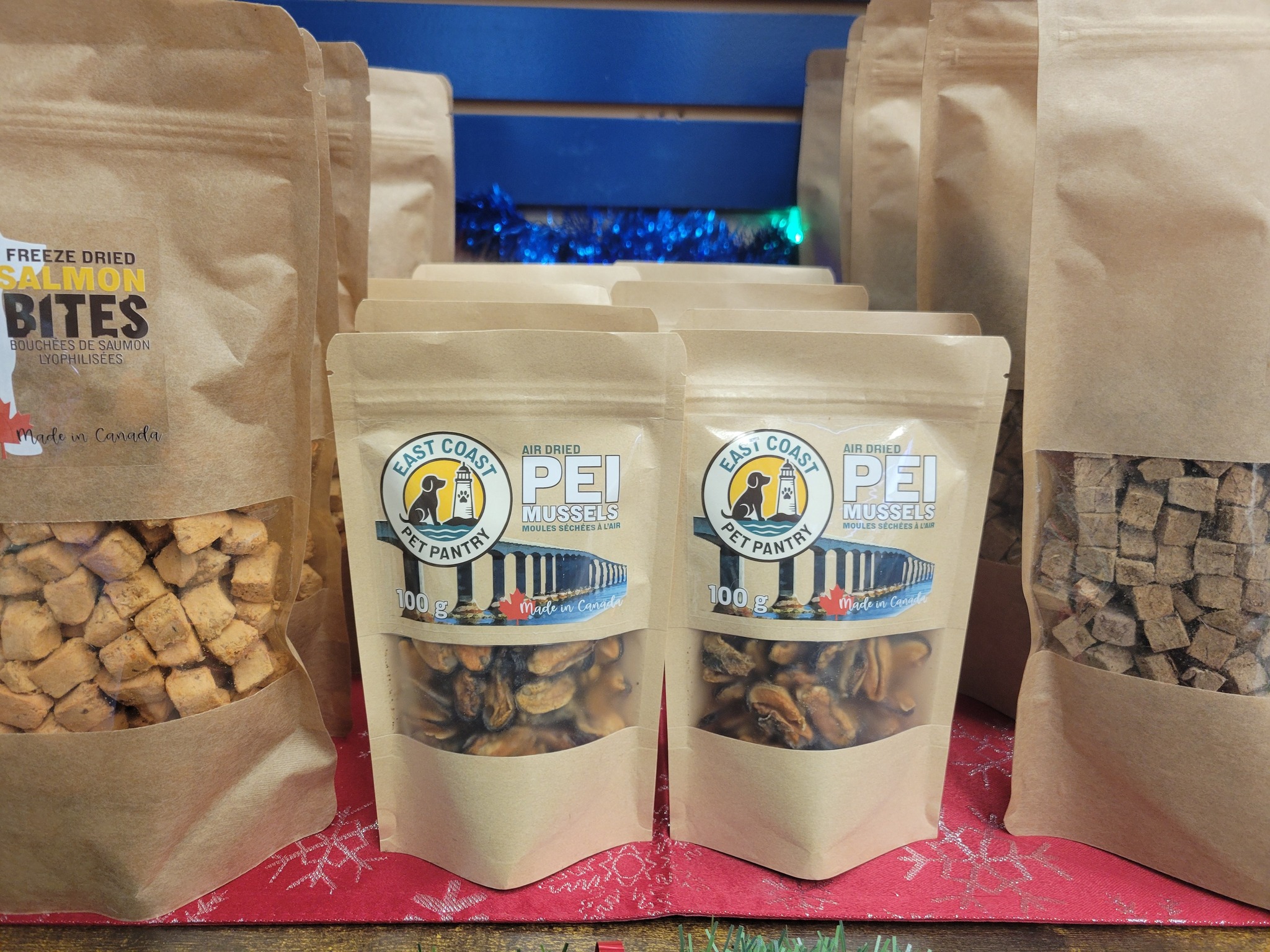 585887747_1402263991899861_8674925824607049389_n